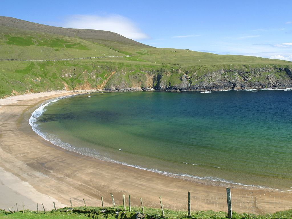 Move your mouse away from the picture to remove large image